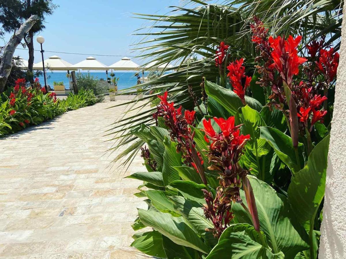 Apartments Kuce Lekovica Beach & Snack Bar- Bistro Esterno foto