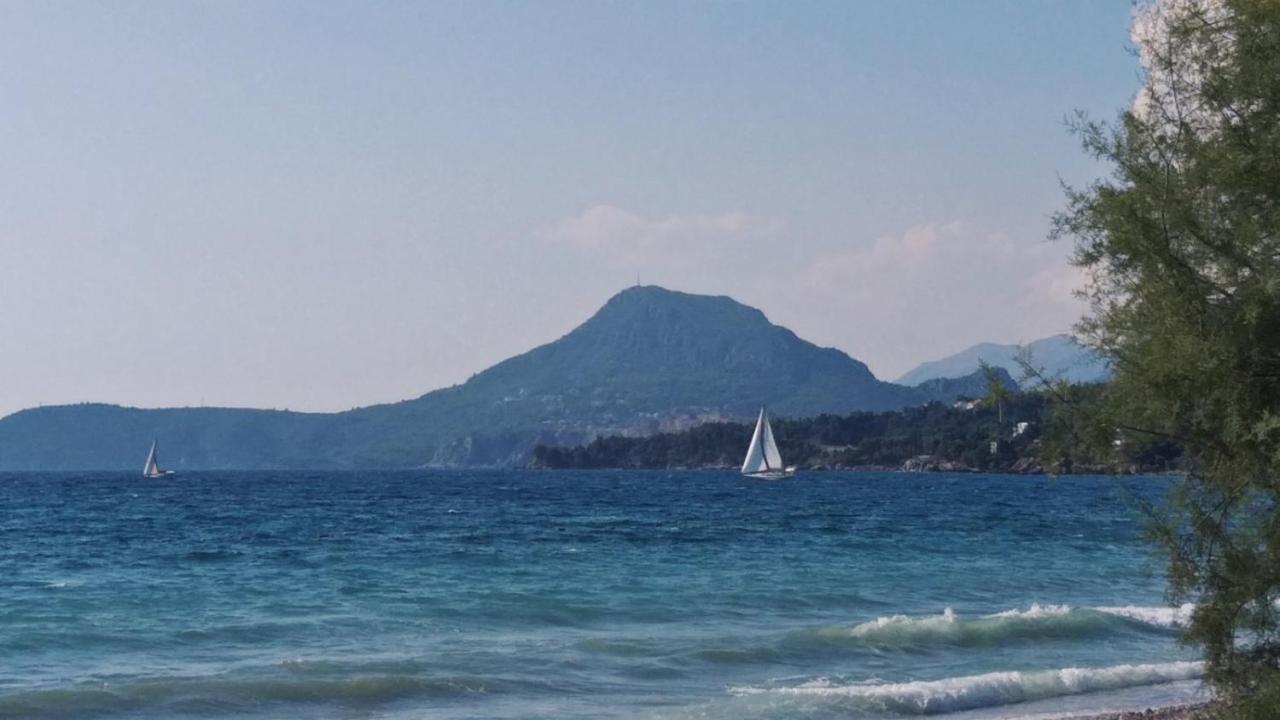 Apartments Kuce Lekovica Beach & Snack Bar- Bistro Esterno foto