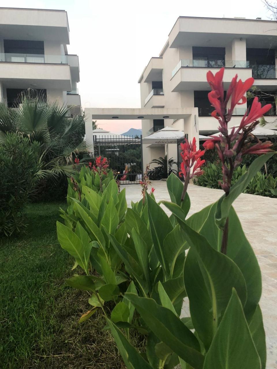 Apartments Kuce Lekovica Beach & Snack Bar- Bistro Esterno foto